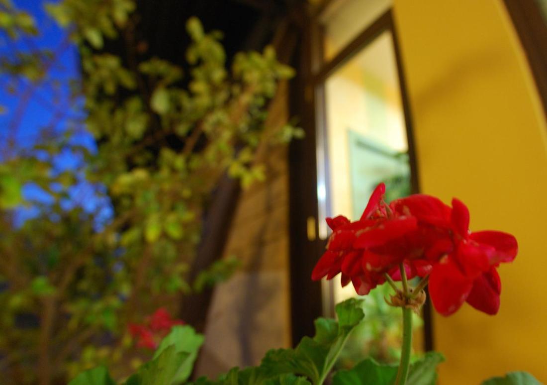 Albergo Conca D'Oro فوجيا المظهر الخارجي الصورة